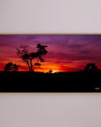 Sunset Silhouette Vibes